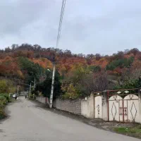 زمین-مسکونی-با-چشم-انداز-بی-نظیر-جنگل-شهر-و-دریا