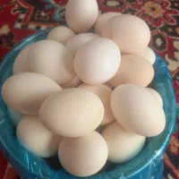 تخم مرغ گلین