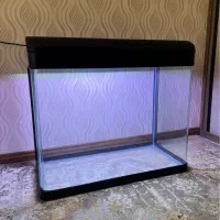 آکواریوم شرکتی دلسا k800