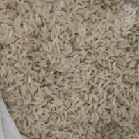 برنج هاشمی|خوردنی و آشامیدنی|بروجرد, |دیوار