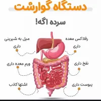 بهبودی کامل گوارش کمتر از ۱۰روز