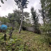 فروش زمین ۳۶۵ متر|فروش زمین و ملک کلنگی|توتکابن, |دیوار