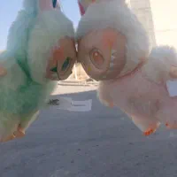 لبوبو انرژی و هویت