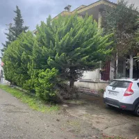 ۱۶۵متر شهرکی دوبلکس/جاده ساحل اختصاصی/نگهبانی