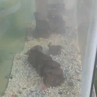 آکواریوم شیک و بزرگ