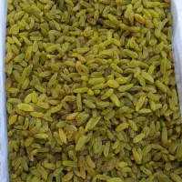 پخش روغن زرد گوسفندی وگاوی وکره دوغی. اسفراین|خوردنی و آشامیدنی|پاکدشت, حصار امیر|دیوار