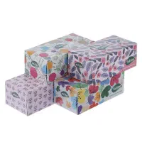 دستمال کاغذی ۳۰۰ برگ فول تایم و پاپیا