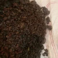 کشمش فله  در تیمورلو ۱۹۸ تومن