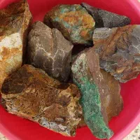 اکواریوم شرکتی|ماهی|تربت‌حیدریه, حسنی بالا|دیوار