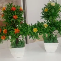 درختچه