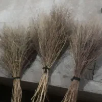 جارو رسیده وخشک|لوازم نظافت|نورآباد, |دیوار