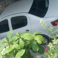رانا|خودرو سواری و وانت|بندر کنگان, |دیوار