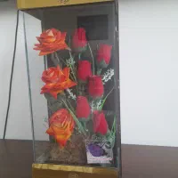 باکس گل