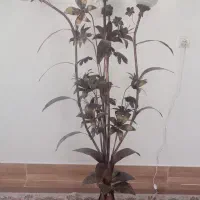 آباژور ایستاده کنار سالنی چهار شاخه سنگین وزن|چراغ خواب و آباژور|مراغه, |دیوار