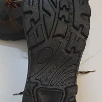 کفش کار|کیف، کفش، کمربند|گلبهار, شهر جدید گلبهار|دیوار