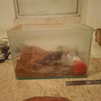 آکواریوم کامل