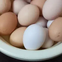 تخم مرغ تازه به شرط سالم بودن|خوردنی و آشامیدنی|هشتگرد, هیو|دیوار