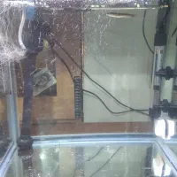 آکواریوم شرکتی با تمام لوازم