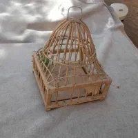 ۱ عدد قفس چوبی دست ساز به همراه یک کفتر پعاوضه
