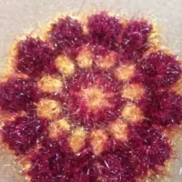 اسکاج|لوازم نظافت|دورود, |دیوار