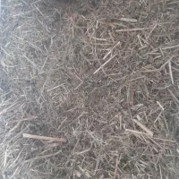 یونجه خرمنکوب شده گزره و پرس بسته بندی