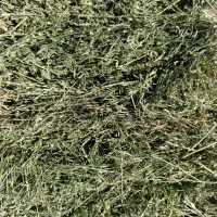 یونجه پرس قالبی خشک انباری و کوفته|لوازم جانبی حیوانات|شیراز, رحمتآباد|دیوار