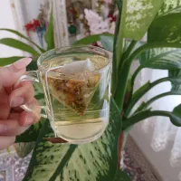انواع پک های چاقی و لاغری