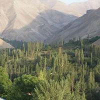 ۱۲۰۰ متر زمین در شهرستانک