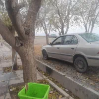 سمند ۸۱ ایکس ۷ . بنزینی|خودرو سواری و وانت|جعفرآباد, |دیوار