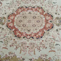 2نفر سالن شور برای قالیشویی