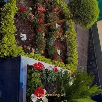 خدمات کلیه باغبانی باغچه کاری گلکاری هرس کاری