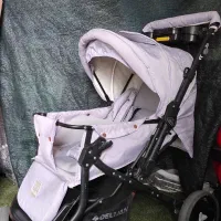 کالسکه دلیجان