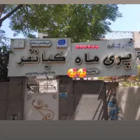 اموزشگاه پری ماه کیانفر