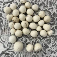 سنگ آسیاب اصلی|کلکسیون اشیاء عتیقه|گرگان, |دیوار