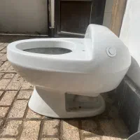 توالت فرنگی