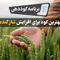 برنامه افزایش تناژ گندم و جو