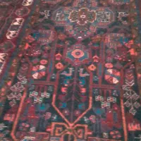 قالی دست بافت|فرش|بروجرد, |دیوار