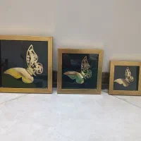 تابلو پروانه