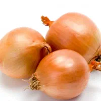 خریدارپیاز اعلا