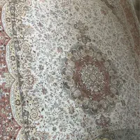 پاتریس جفت ۶ متری ۷۰۰ شانه