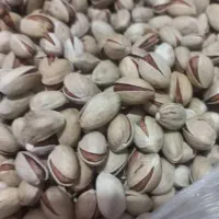 پسته فندقی