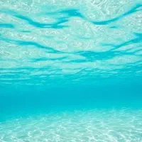بلیت استخر