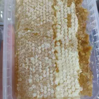 موم عسل طبیعی