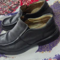 کفش چرمی اصل|کیف، کفش، کمربند|بوکان, |دیوار