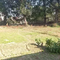 تازه اباد زمین بافت ۷۸۰متر پ ۱رودخانه قیمت متر۱۵م