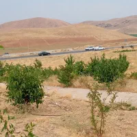 باغ اول شهر|فروش دفتر صنعتی، کشاورزی، تجاری|ازنا, |دیوار