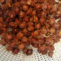 آلوچه ترش
