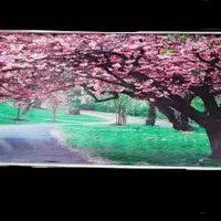 پرده ی جلوی اُپن