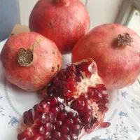 انار اشکفتو درجه یک