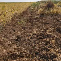 زمین مناسب طرح وکشاورزی